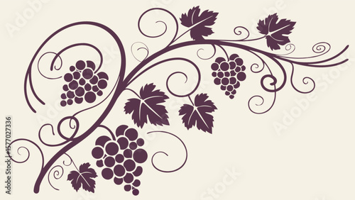 Grape vine vector illustration, grape clusters and leaves design, wine grapes art, vineyard decoration, fruit vine