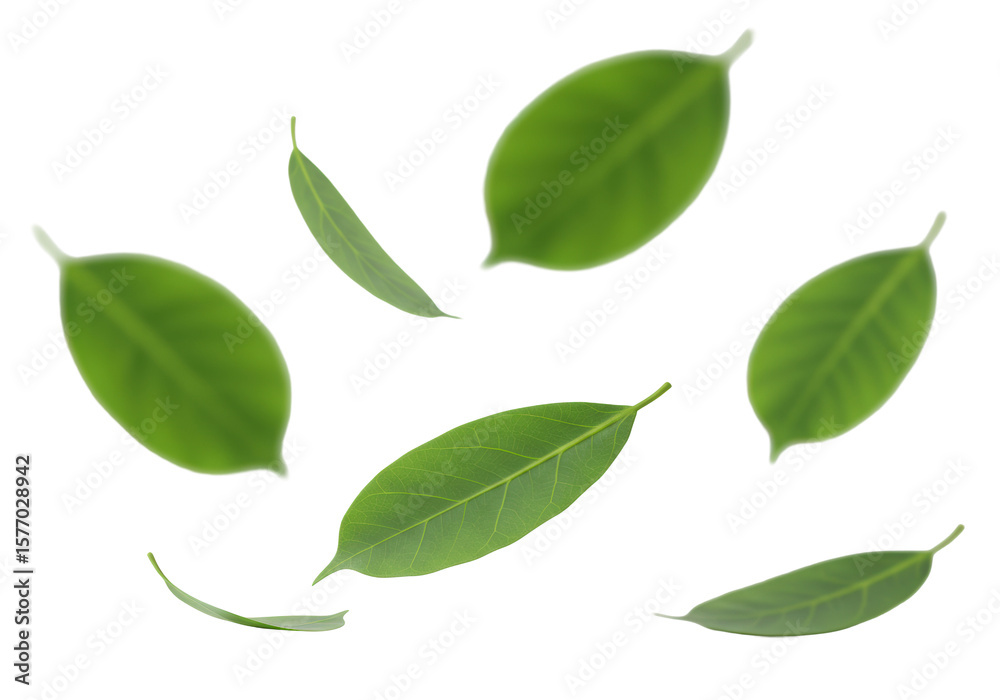Naklejka premium Vibrant green ficus leaves, varying in size and texture, gently floating against a pristine, clean white studio background with shallow depth of field, conveying natural beauty and purity
