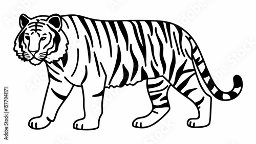  Walking Tiger Line Drawing – Wild Animal Jungle Vector Art Illustration
