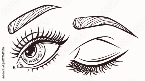 Eyelash extensions and eyebrow shaping vector illustration for beauty salon and makeup artist design use