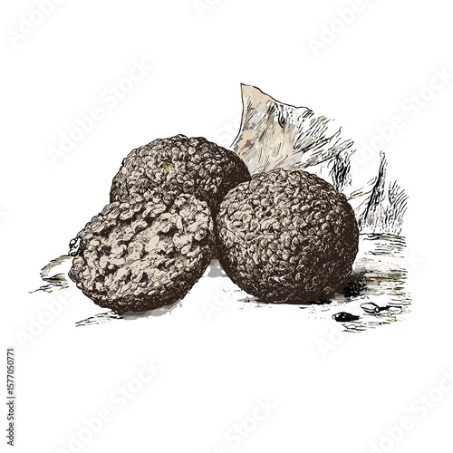 Vintage illustration of falafel balls, representing traditional Middle Eastern cuisine, ideal for culinary marketing and cultural events