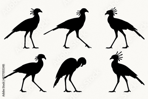 Collection of six secretary bird silhouettes in diverse poses, ideal for wildlife art, African safari, and nature designs. Perfect for logos, posters, and eco-friendly graphics with a striking, minima