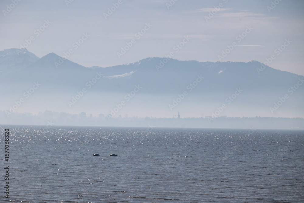 A calm ocean with a mountain range in the background A calm ocean with a mountain range in the background