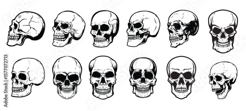 set human skull illustrations white background element label emblem sign logo poster image