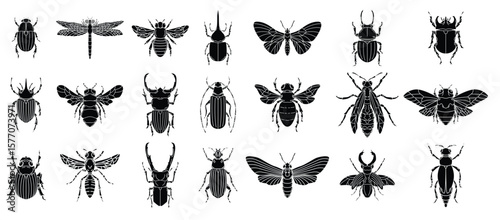 Set insects illustrations white background elements logo label emblem sign badge image