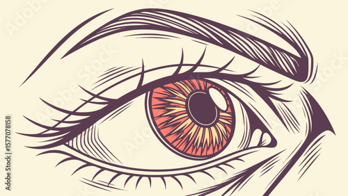 Eye illustration drawing vector graphic design artwork detailed close up human anatomy creative design concept