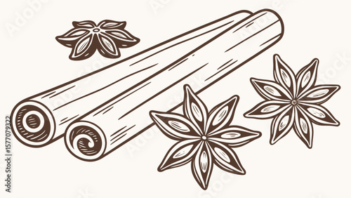 Cinnamon sticks and star anise spice drawing vector illustration for culinary and holiday theme design