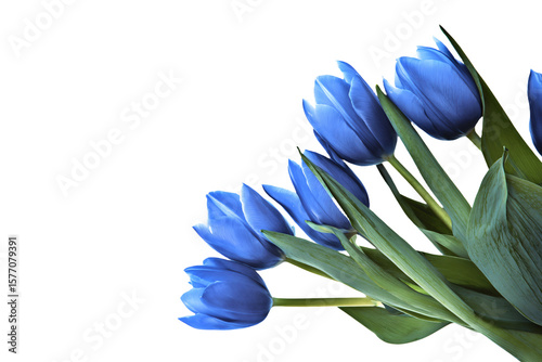a bunch of blue flowers in a vase