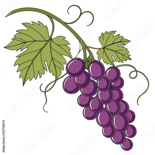 bunch of grapes