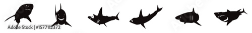 Great white sharks swimming in different poses black and white vector illustration for marine life design, Stylized Black and White Shark Illustration
vector illustration