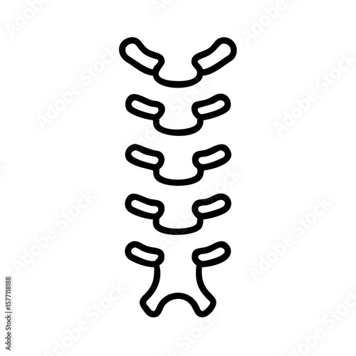 Anatomy illustration of vertebrae in simplified line drawing  