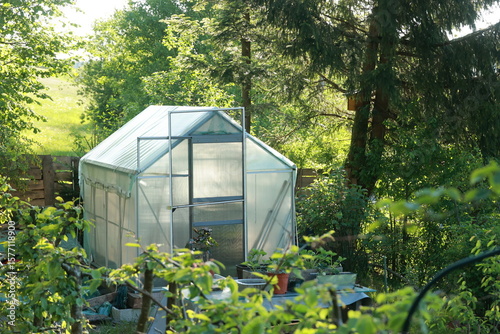 A greenhouse is surrounded by trees and plants