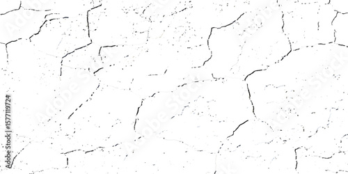 "Grunge cracked texture on white background with black fracture lines and speckles. Perfect for vintage effects, aged surfaces, abstract design, backgrounds, and distressed graphic projects"