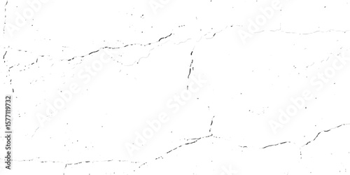"Grunge cracked texture on white background with black fracture lines and speckles. Perfect for vintage effects, aged surfaces, abstract design, backgrounds, and distressed graphic projects"