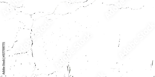 "Grunge cracked texture on white background with black fracture lines and speckles. Perfect for vintage effects, aged surfaces, abstract design, backgrounds, and distressed graphic projects"