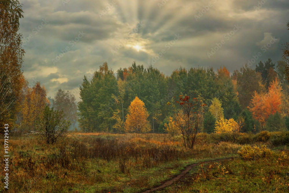 Fototapeta premium Heavy clouds hung over the autumn forest and meadow.