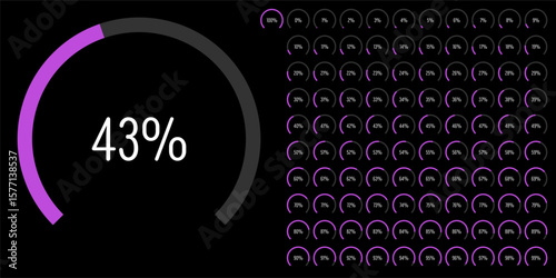 Set of circular sector arc percentage diagrams meters progress bar from 0 to 100 ready-to-use for web design, user interface UI or infographic - indicator with purple