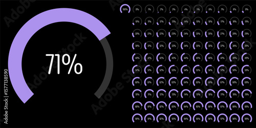 Set of circular sector arc percentage diagrams meters progress bar from 0 to 100 ready-to-use for web design, user interface UI or infographic - indicator with purple
