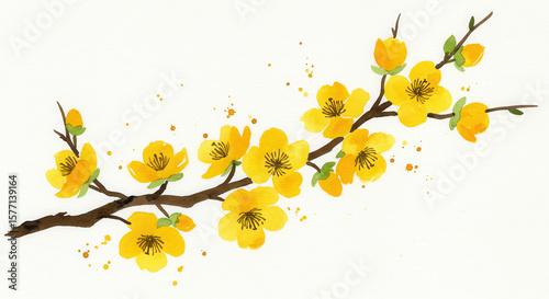 Yellow apricot flowers branch in watercolor, spring flowers illustration on a white background