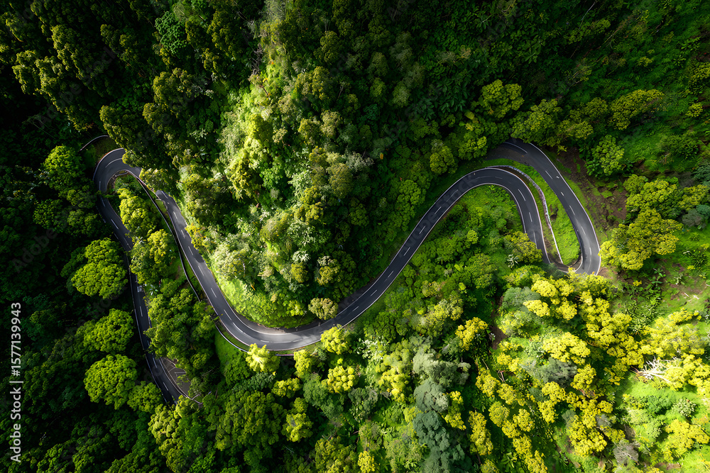 Obraz premium Serpentine Path: A Journey Through Lush Mountainous Terrain