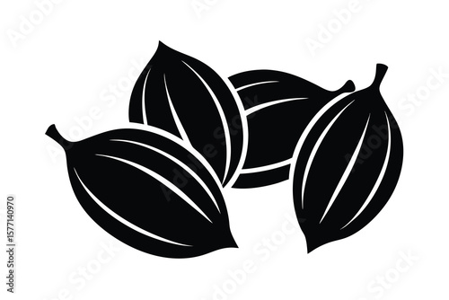 cardamom fruit black silhouette vector on white background