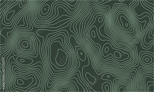 Topography colorful background. Vector banner. Topography background. Vector geographic contour map. Background of the topographic map. Topographic map lines, contour background