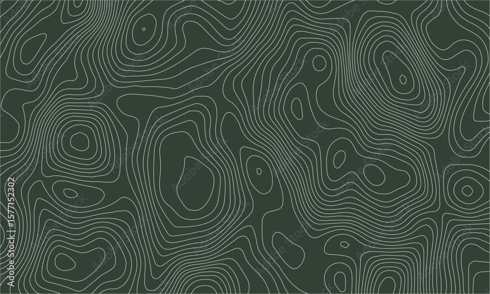 Fototapeta premium abstract topographic wave line white, white line map texture. geometric discovery mounted location counter grid map background.White wave paper curved reliefs abstract background. The topographic map.
