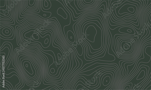 abstract topographic wave line white, white line map texture. geometric discovery mounted location counter grid map background.White wave paper curved reliefs abstract background. The topographic map.