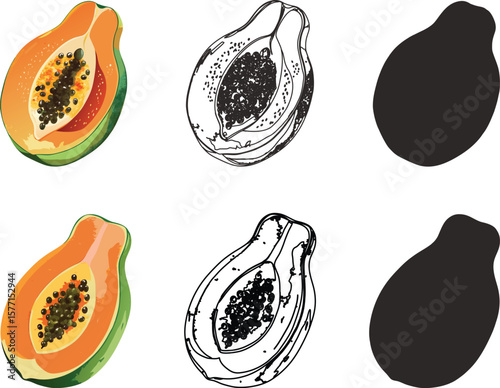 Colorful papaya illustrations showing whole and halved fruit with seeds in color line art and silhouette styles