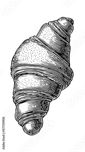 Antique ink engraving of a curled croissant shape, isolated on transparent background