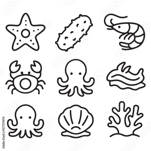 Starfish, sea cucumber, shrimp and other sea animals are beautifully depicted in outline
