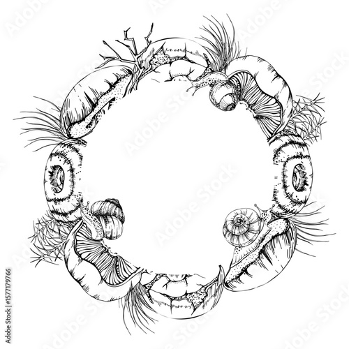 Bolete cep russula suillus mushroom fungi with horsetail plant stalks, twigs grass blades undergrowth. Copy space wreath frame hand drawn in vector ink. Menu list accents, home preserves labels tags