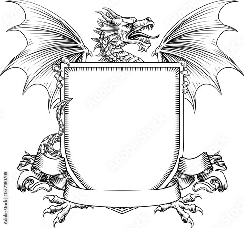 Dragon coat of arms or crest family heraldry medieval heraldic knight shield. In a vintage woodcut style.