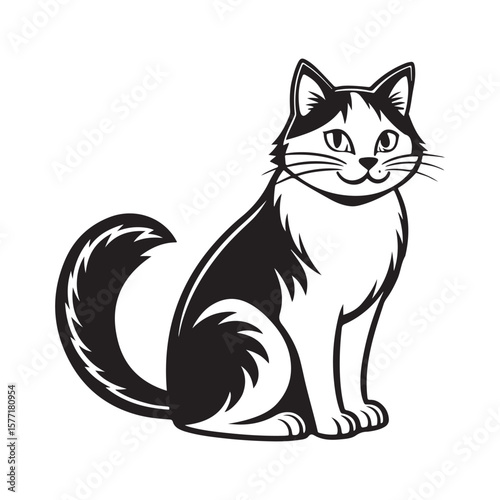 Black and white cat sitting feline domestic animal