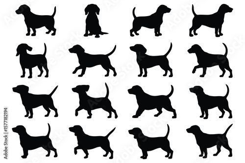 Dog silhouettes in various poses black white