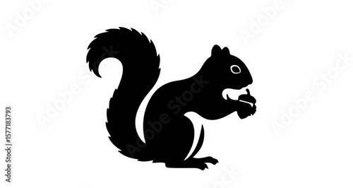 Silhouette of a squirrel standing and eating an acorn with its fluffy tail curled on its back side