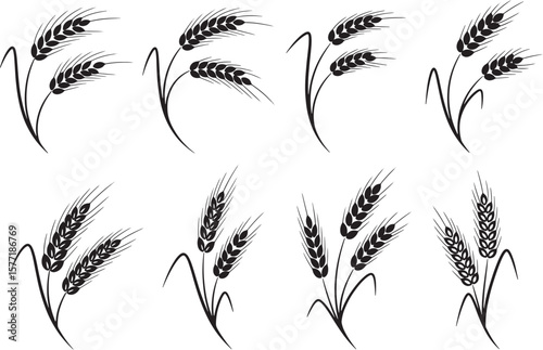 A beautiful collection of stylized wheat ear silhouettes, perfect for agricultural themes, baking designs, natural food branding, and harvest festival illustrations