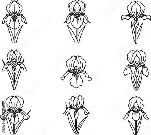 A set of nine elegant outline iris flower illustrations, perfect for botanical themes, delicate decorative elements, and sophisticated nature-inspired designs