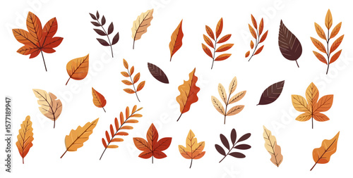 This collection of diverse autumn leaves is perfect for websites and blogs focused on fall themes, seasonal decor, nature, or educational content about trees and seasons.

