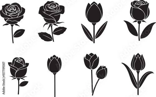 Elegant black rose and tulip silhouettes, a versatile collection of timeless floral designs featuring blooming flowers and buds, perfect for sophisticated botanical graphic elements