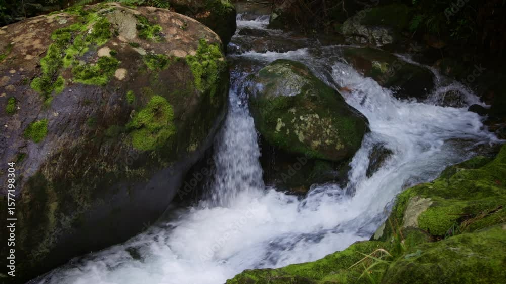 Rushing water cascades over moss-covered rocks in a stream. The water flows rapidly, creating a dynamic scene of nature's power and beauty in New Zealand. Rushing water cascades over moss-covered rocks in a stream. The water flows rapidly, creating a dynamic scene of nature's power and beauty in New Zealand.