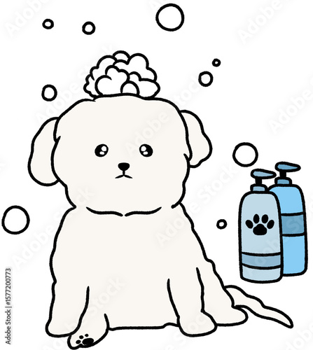 dog 샤워