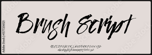 Brush script vector font with texture. Creative hand drawn uppercase and lowercase. Classic lettering fashion designs Typography script decorative vintage concept vector illustration