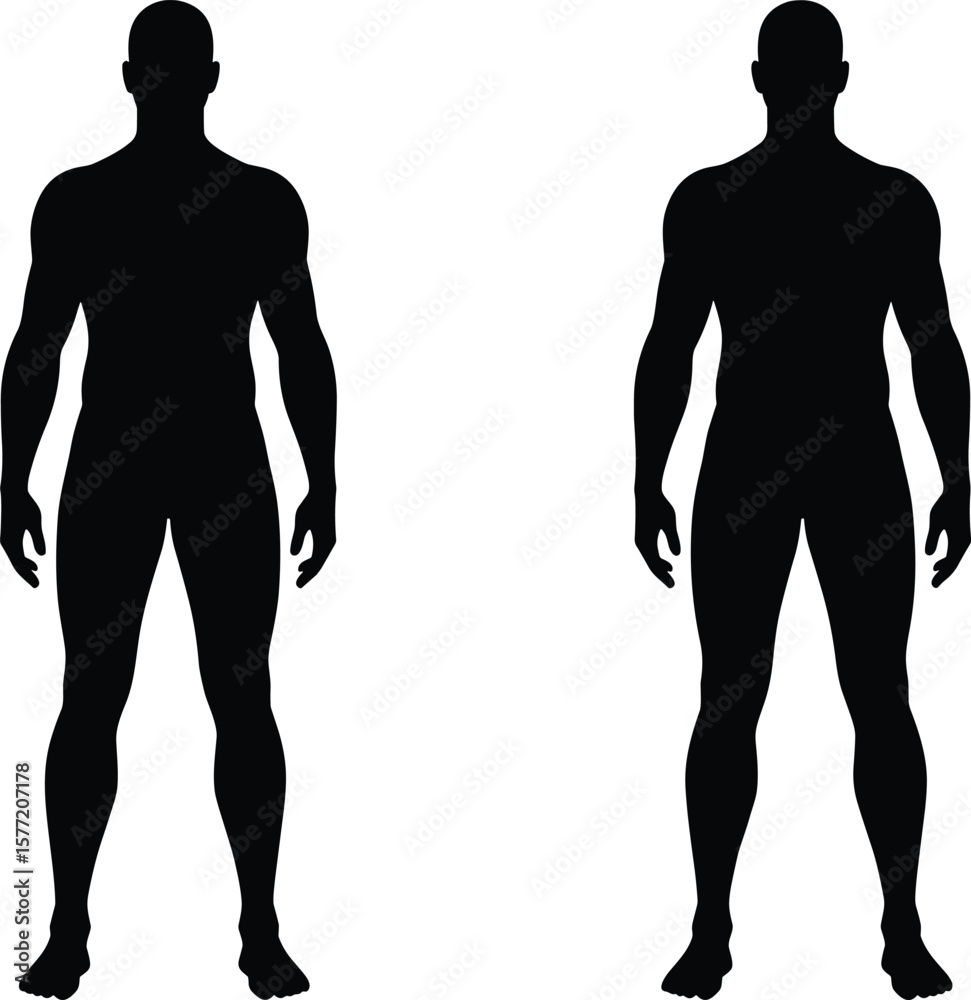 Muscular male silhouette sketch, front view figure illustration, bodybuilding concept vector, anatomy and physique design art, fitness character template, cad drawing flat vector illustration Muscular male silhouette sketch, front view figure illustration, bodybuilding concept vector, anatomy and physique design art, fitness character template, cad drawing flat vector illustration
