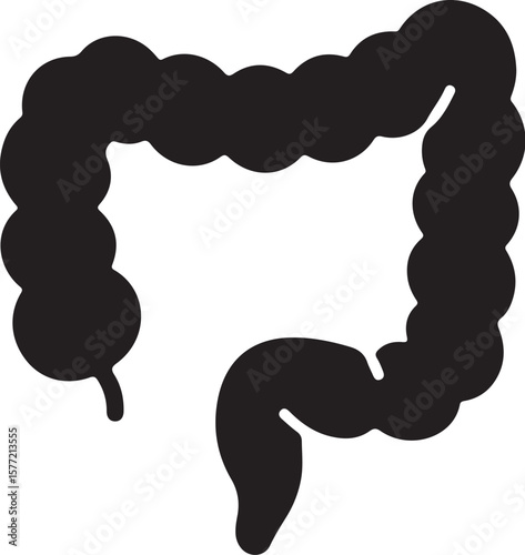 Stylized dark grey silhouette of the human large intestine on a white background