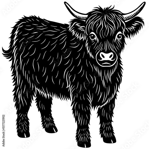 Vector art of a black and white illustration of a fluffy young highland cow standing isolated on white background