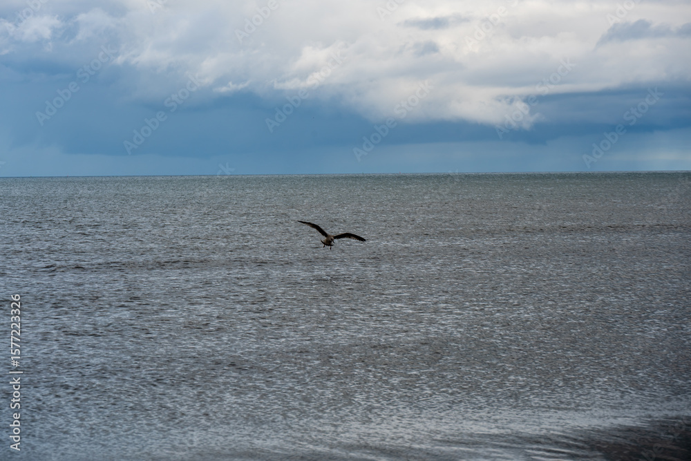 Fototapeta premium Calm Baltic Sea on a summer morning, Liepaja, Latvia.
