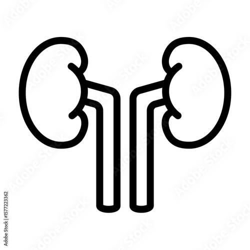Kidney Vector Line Icon Design