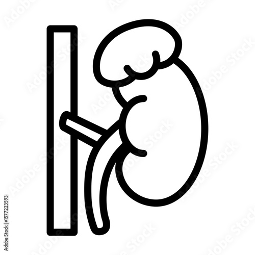 Adrenal Gland Vector Line Icon Design