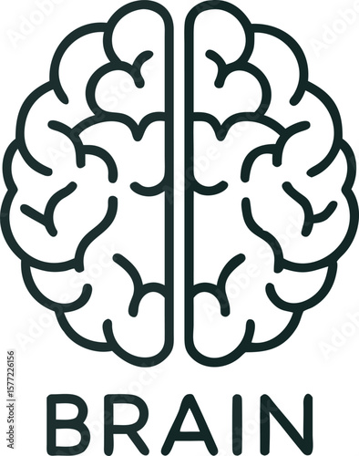 Stylized graphic representation of a human brain in a clean modern outline silhouette style with the word brain below